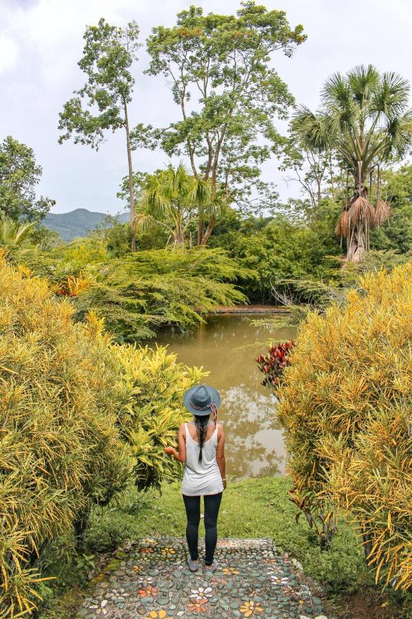 Kantu Garden Lodge โมโยบัมบา ภายนอก รูปภาพ